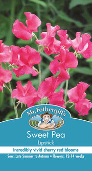 Sweet Pea ‘Lipstick’ seeds